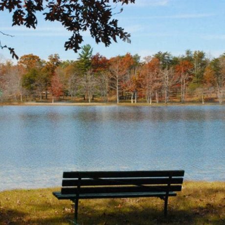 bench by lake